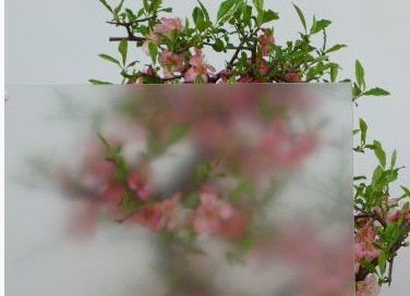 Anti-reflective glass 